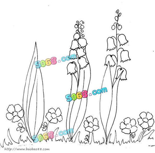 风铃草植物简笔画-e学堂