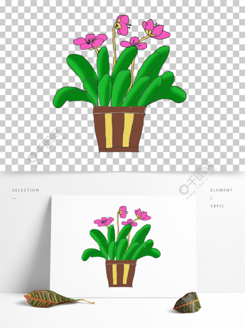 手绘兰花盆栽花卉少儿简笔画
