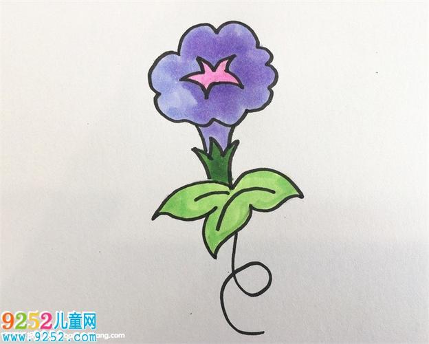 简笔画 植物简笔画 牵牛花的画法