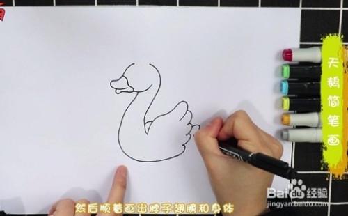 简笔画系列-怎么画天鹅简笔画