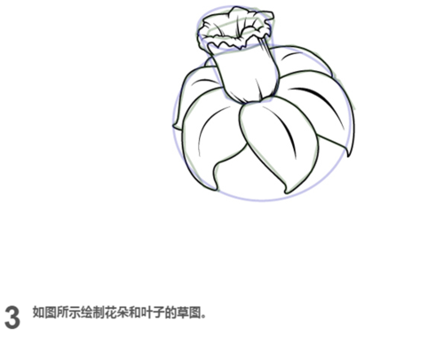 浇水的水仙花简笔画