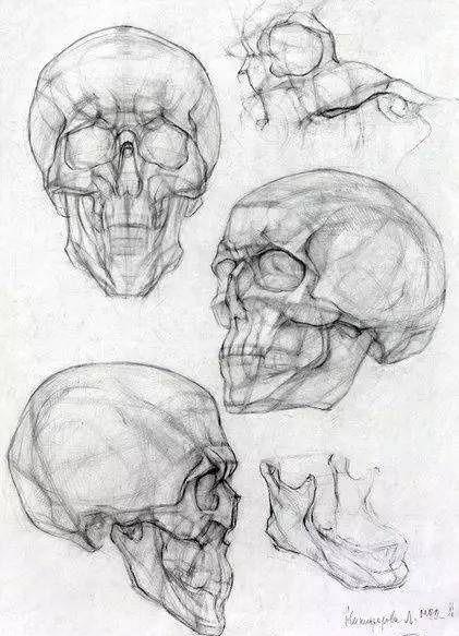 头骨简笔画素描