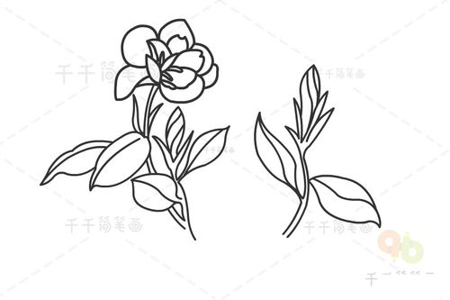 栀子花简笔画 儿童绘画