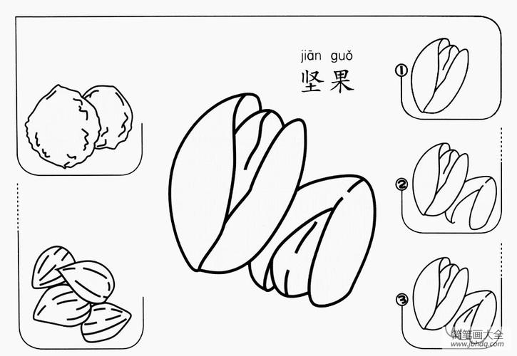 坚果怎么画食品简笔画-简笔画大全