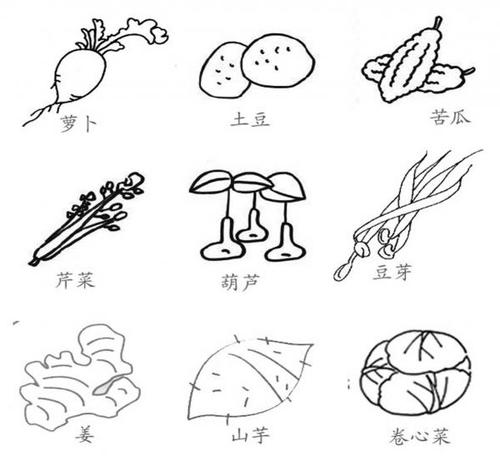 简笔画蔬菜大全