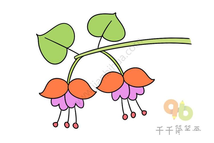 灯笼花简笔画