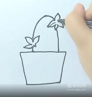 小盆栽简笔画