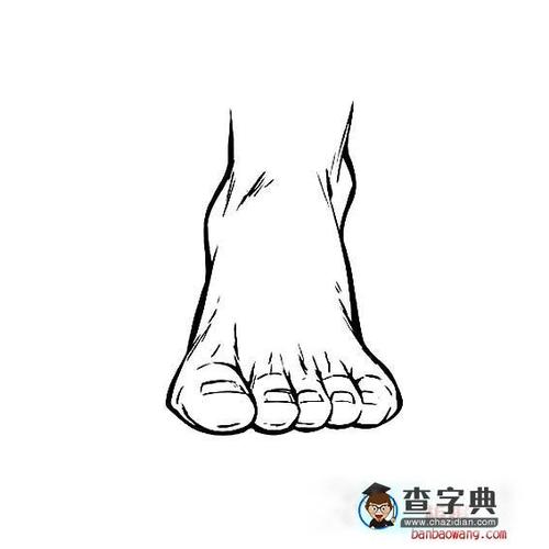 脚的正面画法-人物简笔画 - 查字典板报网