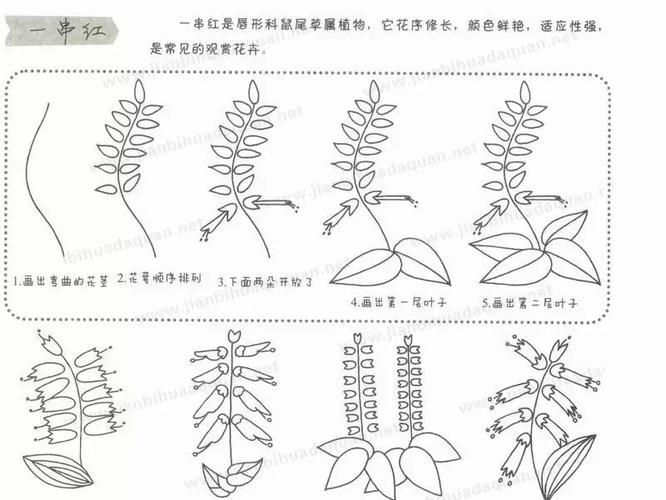 简笔画教程儿童植物简笔画大全上