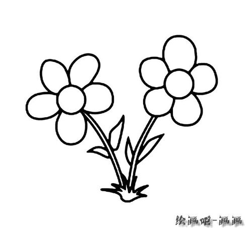 卡通花朵简笔画图片大全