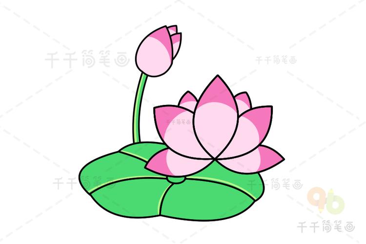 如何画荷花简笔画