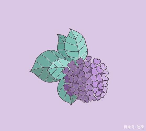 治愈系简笔画植物简单画绣球花