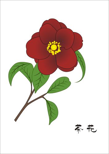 山茶花话简笔画