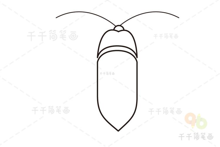 叩头虫简笔画图片昆虫简笔画