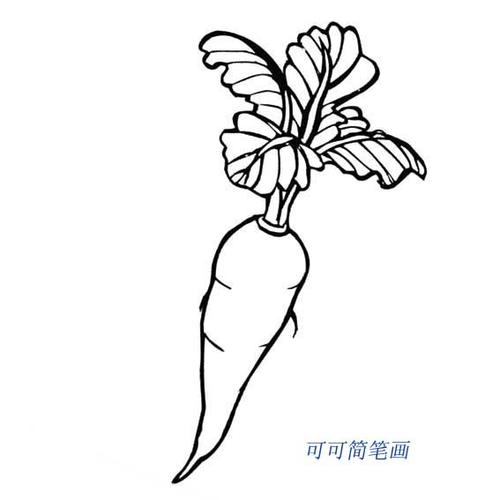 幼儿简笔画蔬菜水果图片大全2