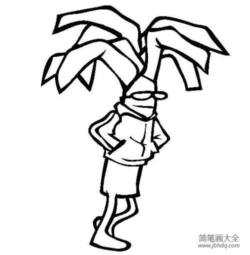 韭菜菜简笔画集