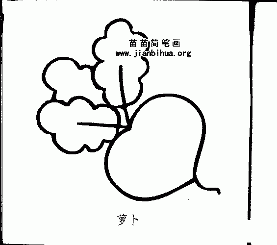 大萝卜简笔画2张