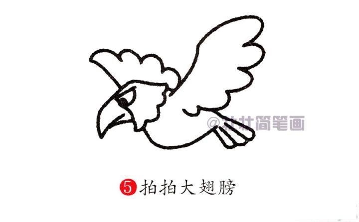 老鹰简笔画画法怎么画老鹰的简笔画