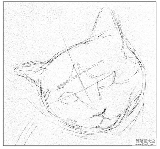 零基础学素描猫咪素描步骤详解简笔画教案-简笔画