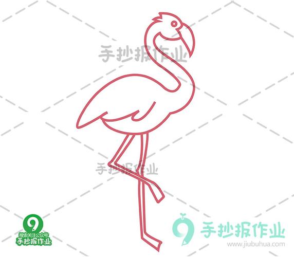 火烈鸟简笔画