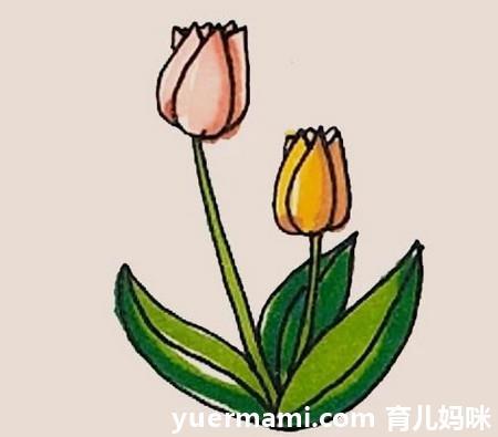 郁金香花朵简笔画步骤图片带颜色