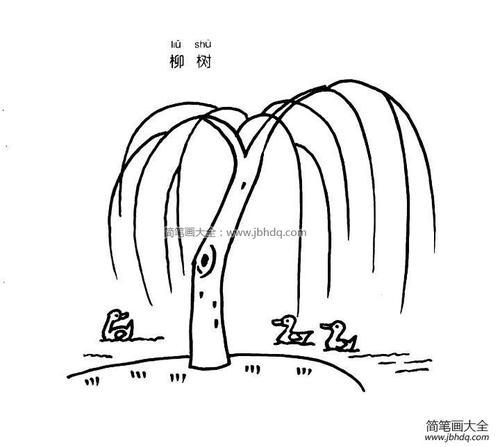 柳叶的简笔画手抄报 手抄报模板大全