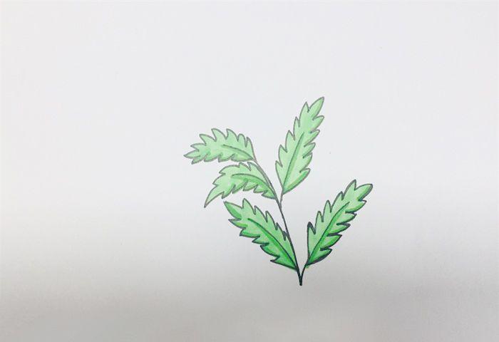 艾草怎么画植物简笔画简笔画大全