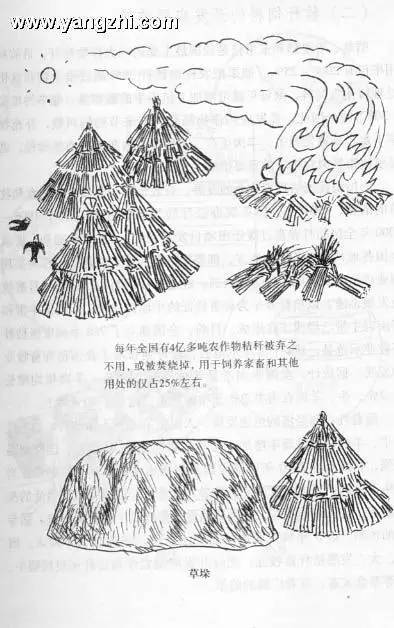 稻草简笔画稻草简笔画图片大全