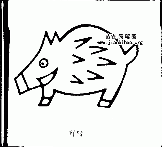 野猪简笔画与资料