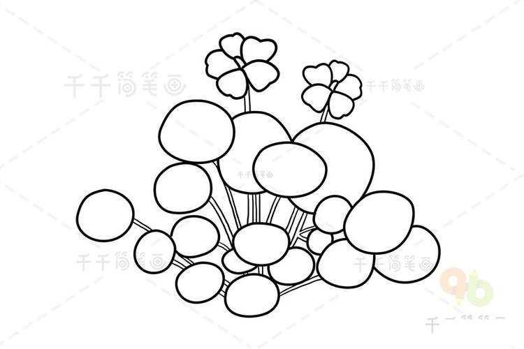 艳丽的旱金莲简笔画