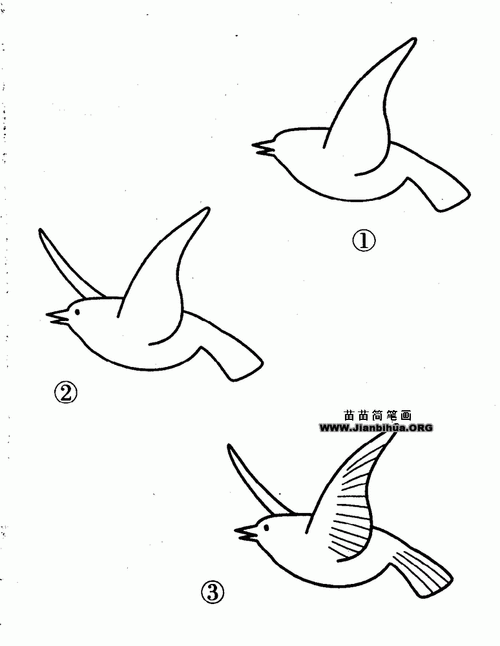 小鸟简笔画画法图解