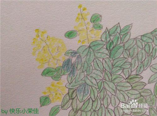 米兰花简笔画怎么画