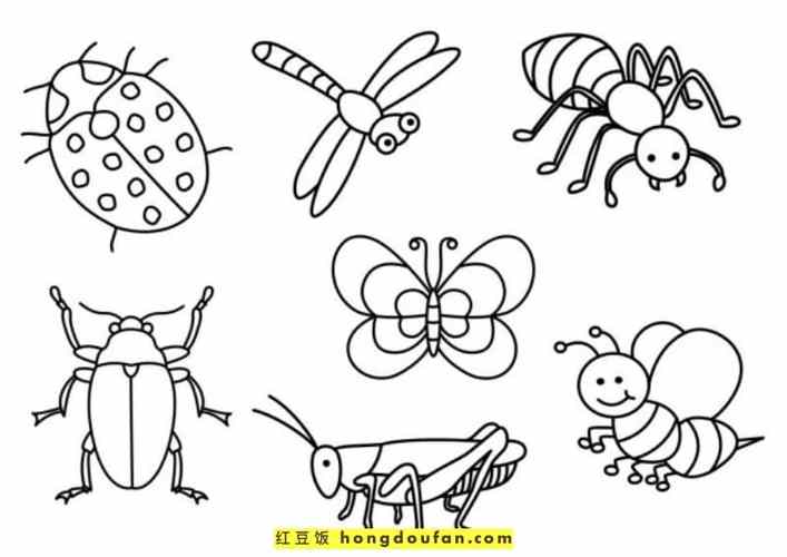 10张6到11岁最喜欢的昆虫卡通简笔画大全