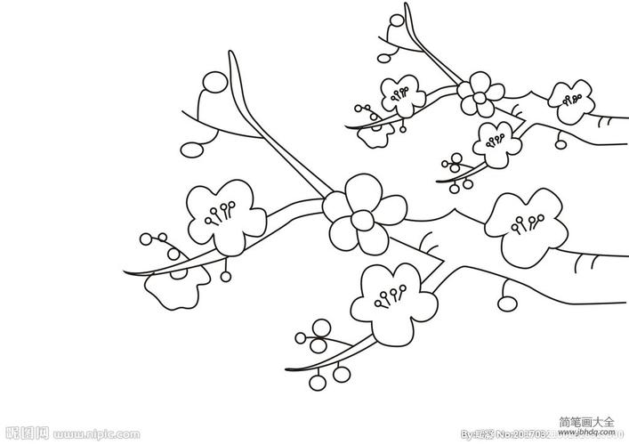 相关学院 儿童花朵简笔画 腊梅网校工具魔法分享