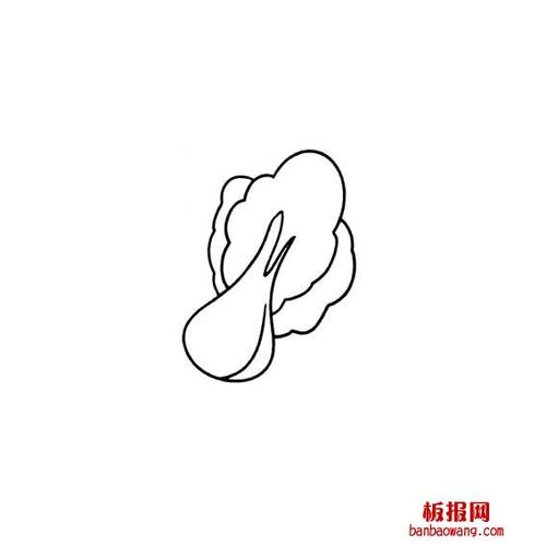 白菜简笔画