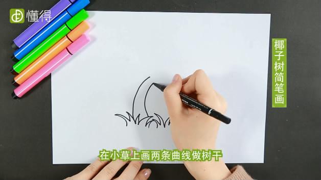 椰子树简笔画图文