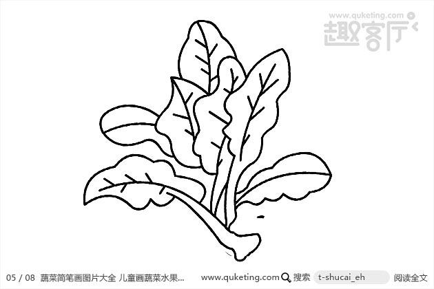 蔬菜简笔画图片大全儿童画蔬菜水果简笔画