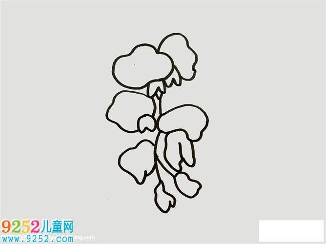 紫藤花怎么画花朵简笔画