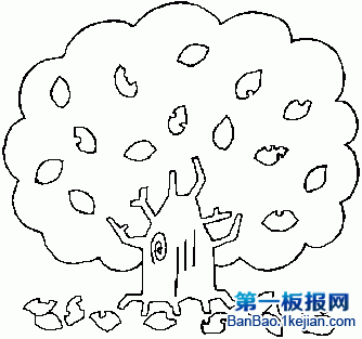 9张秋天树之落叶简笔画图片