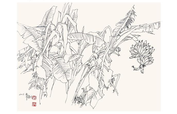 芭蕉图片简笔画3