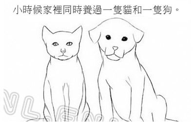 同时养了一只猫咪一只狗它们能好好相处吗简笔画 手绘 线稿 500386