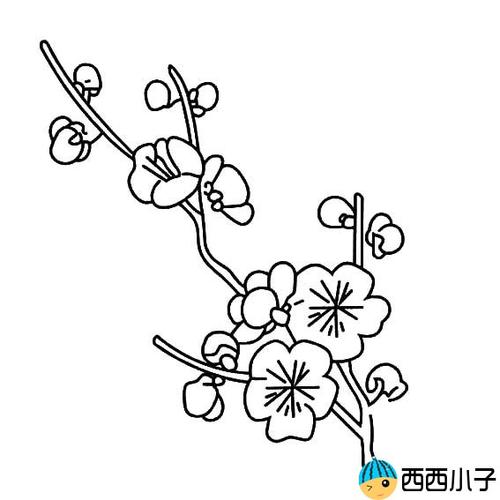 梅花怎么画简笔画