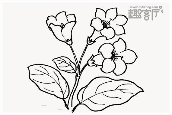 各种漂亮的花朵儿童画 幼儿花朵简笔画大全