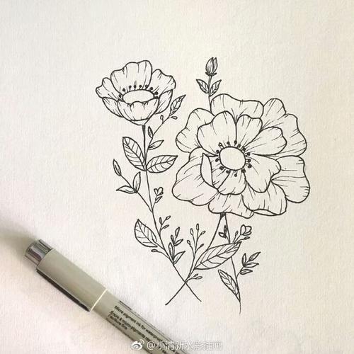 花卉线描简笔画