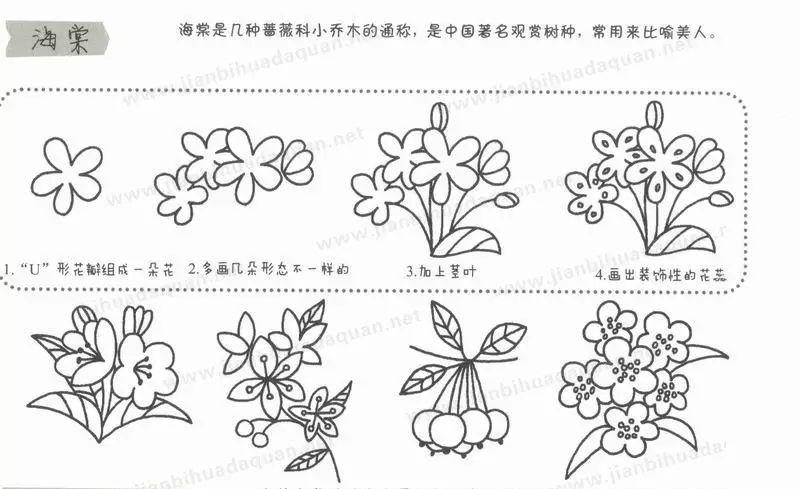 简笔画教程儿童植物简笔画大全上