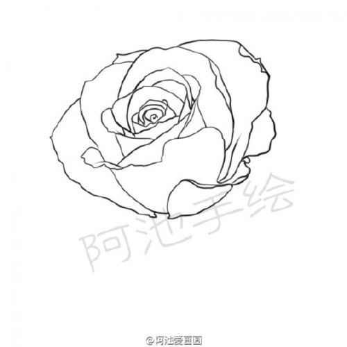 玫瑰花简笔画教程图片 玫瑰花的画法 玫瑰花简笔