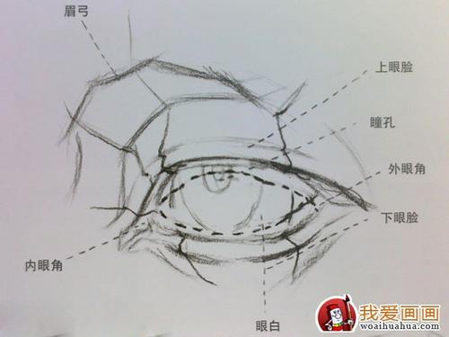 手绘 线稿 500677 竖版 竖屏眼睛表情包简笔画 第1页简笔画 手绘 素描