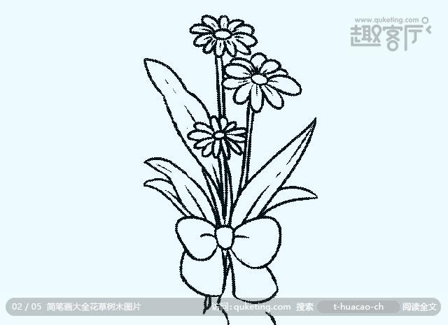 简笔画大全花草树木图片