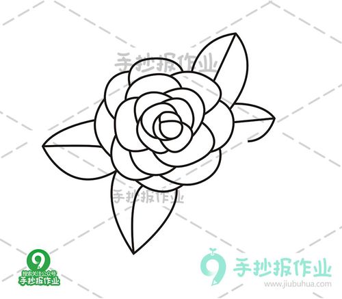 山茶花简笔画