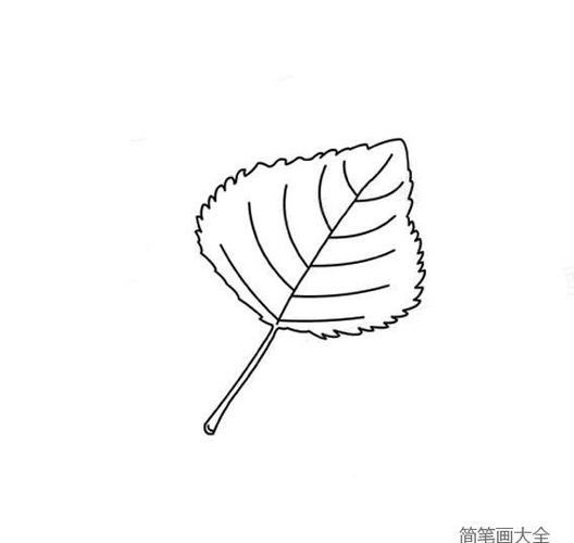 植物简笔画 关于树叶简笔画图片植物简笔画简笔画大全